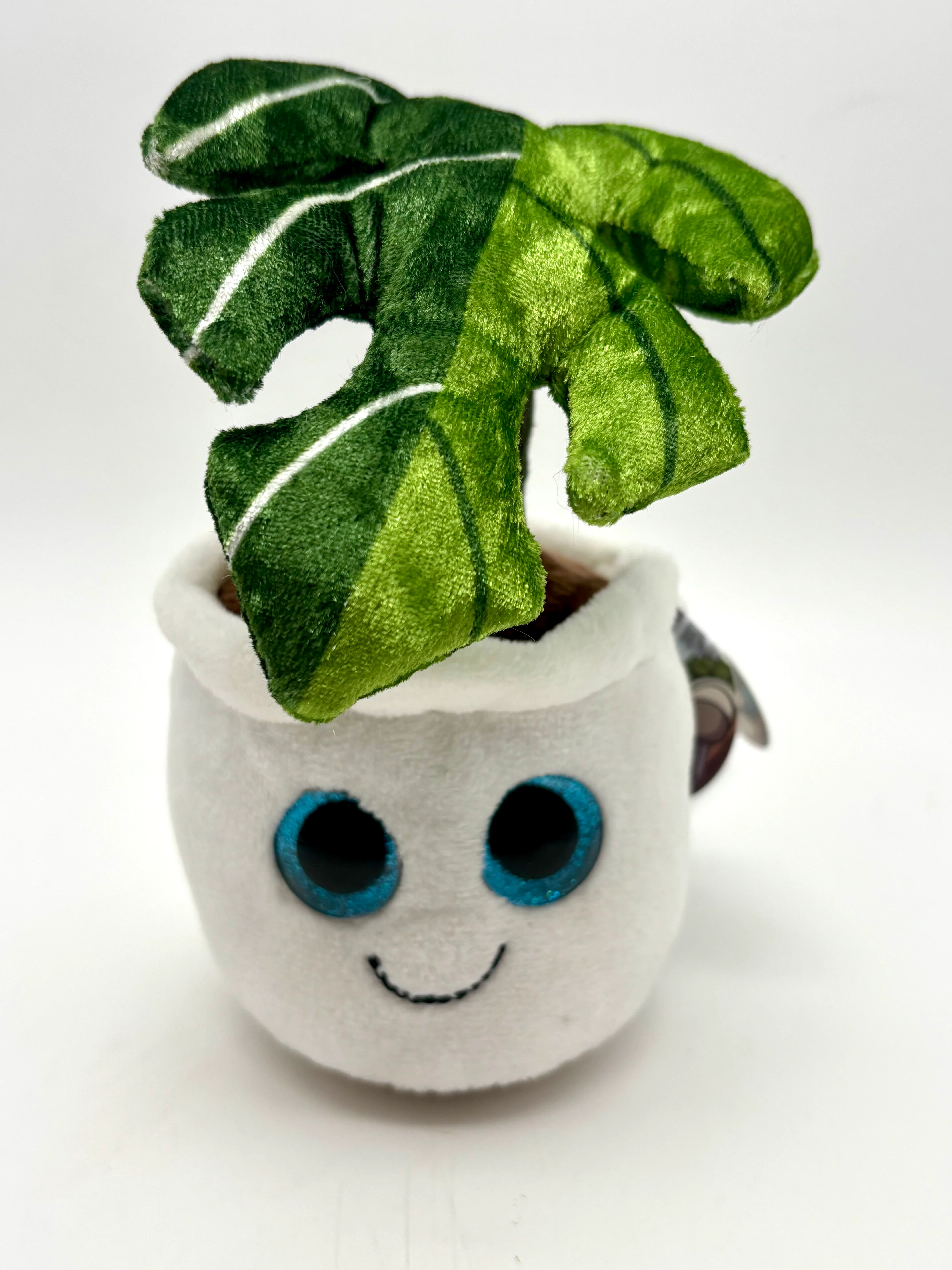 Plüsch Monstera